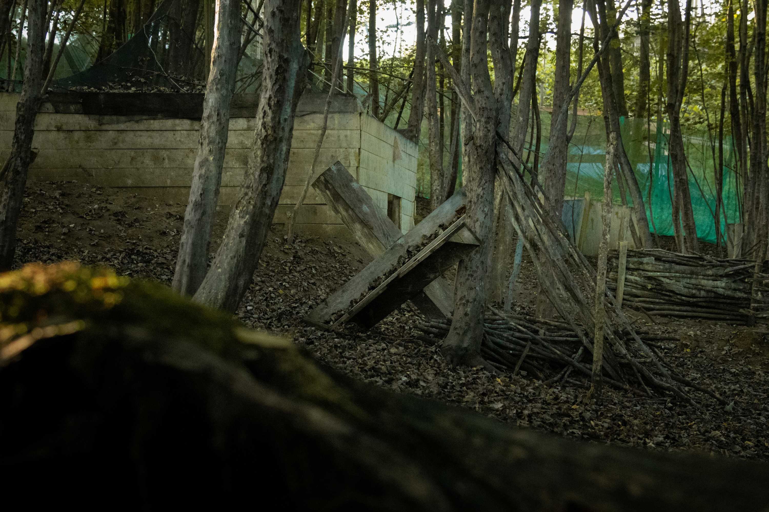 Terrain Verdun image2